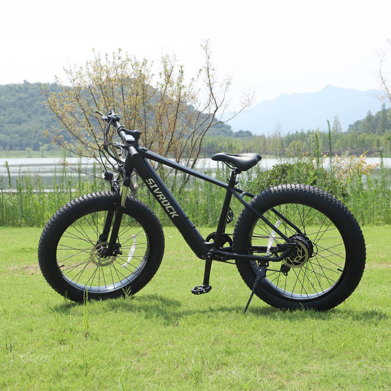 Professional Electric Mountain Bicycle