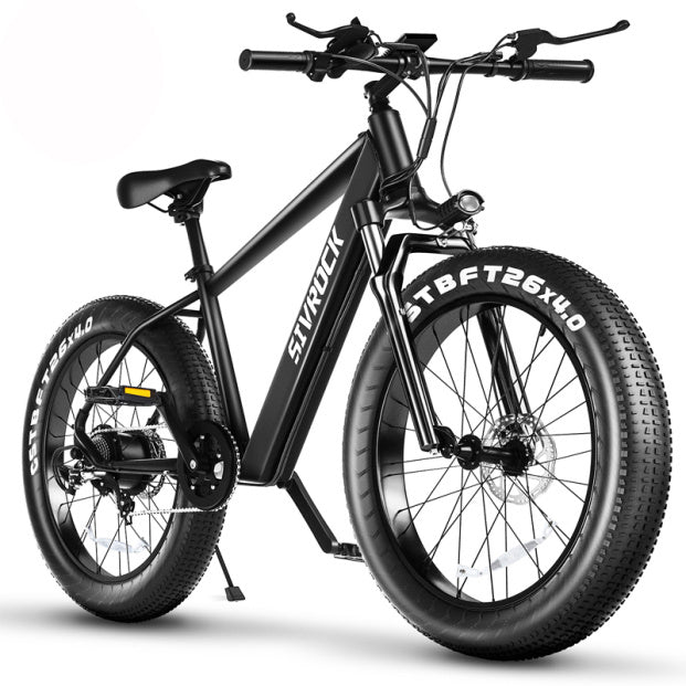 Professional Electric Mountain Bicycle
