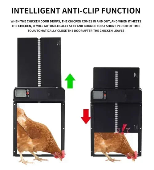 Automatic Chicken Coop Solar Door with Timer