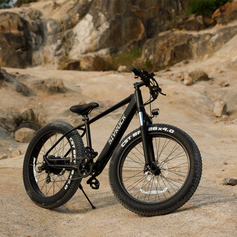 Professional Electric Mountain Bicycle