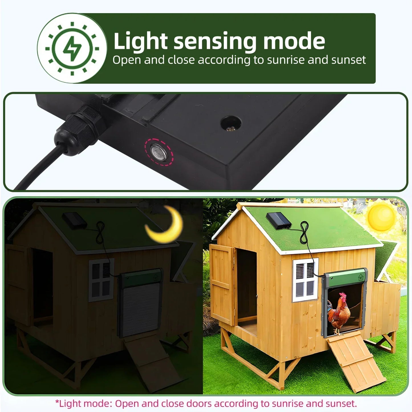 Automatic Chicken Coop Solar Door with Timer