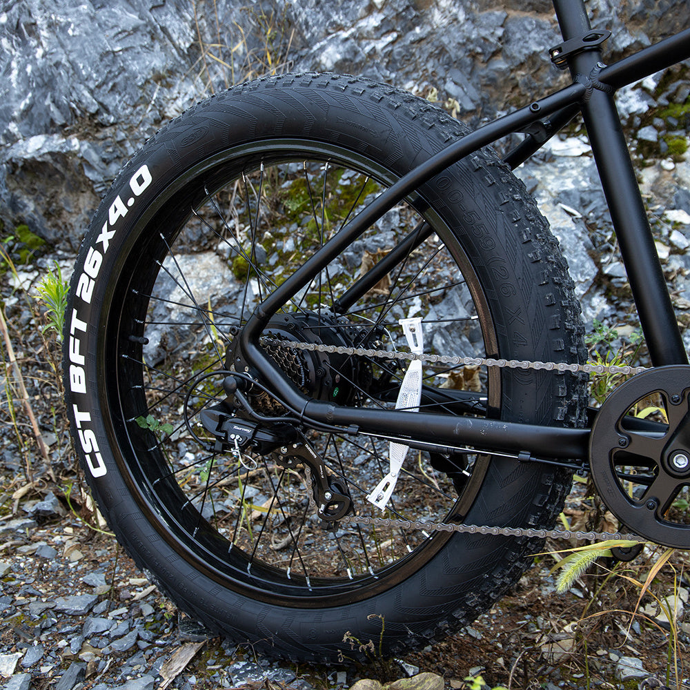Professional Electric Mountain Bicycle